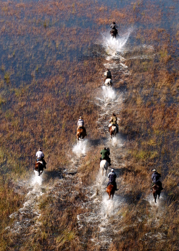 Macatoo Camp: Preschende Pferde