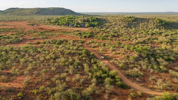 Madikwe Hills Private Game Lodge: Safari-Fahrzeug auf sonnigem Wildpfad
