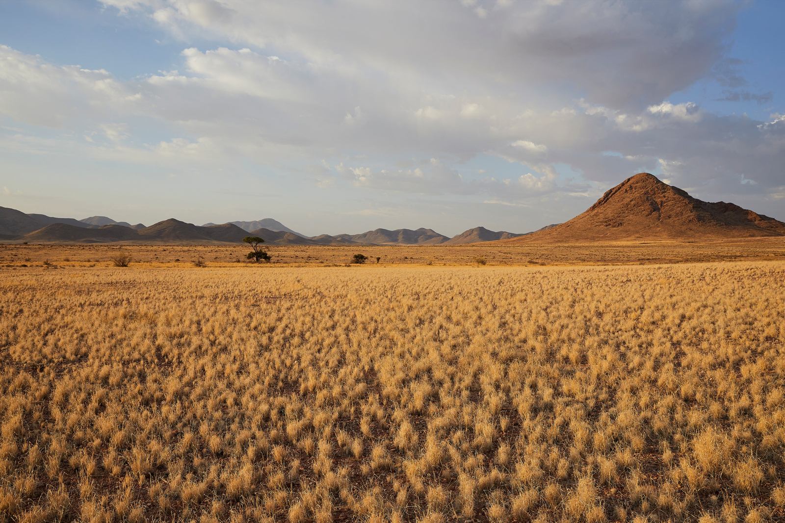Nooishof Nooishof: Landschaft