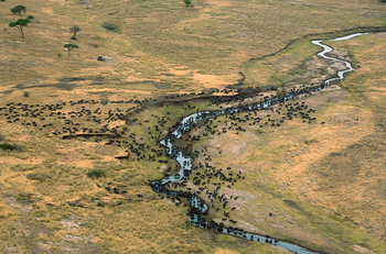 Nyikani Camp Central Serengeti: Am Grumeti River