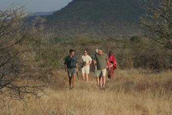Sarara Camp: Guided Bush Walk