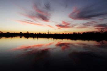 Setari Camp: Rote Federwolken