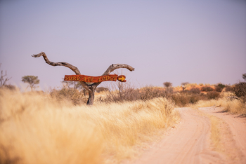 Suricate Tented Camp: Wegweiser