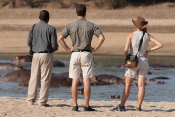 Time + Tide South Luangwa Time + Tide South Luangwa: Walking Safari