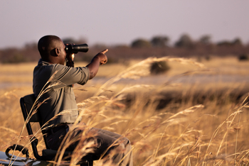 Camp Kuzuma: Tracker