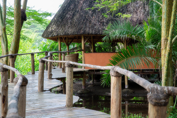 Enjojo Lodge: Steg zum Chalet