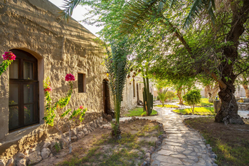 Fort Sesfontein Lodge: Steinweg zwischen Kaktus und Bougainvillea im goldenen Nachmittagslicht