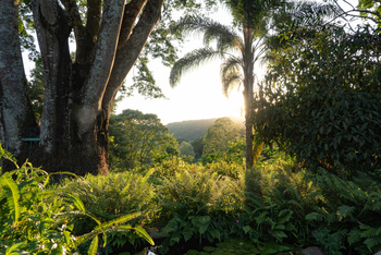 Gibb's Farm: Farmgarten mit Ausblick