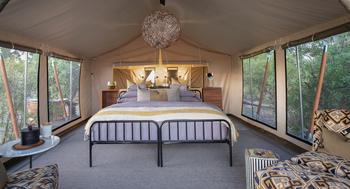 Gomoti Private Camp Gomoti Private Camp: Helles Zelt