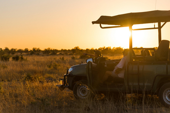 Hwange Bush Camp: Game Drive
