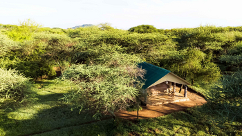 Ikoma Tented Camp: Holzstuhl auf Veranda unter grünen Blättern