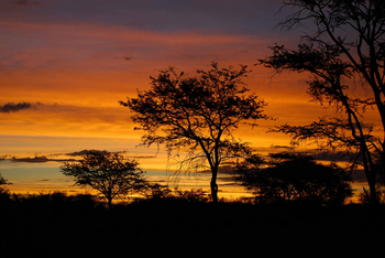 Kalahari Bushbreaks: Abnendrot