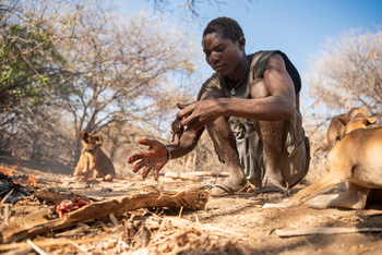 Kisima Ngeda Camp: Hadzabe-Jagd
