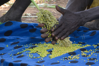 Lale's Camp: Stammeskultur - Mursi