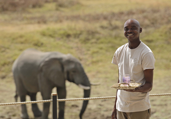 Lion Camp Lion Camp: Kellner