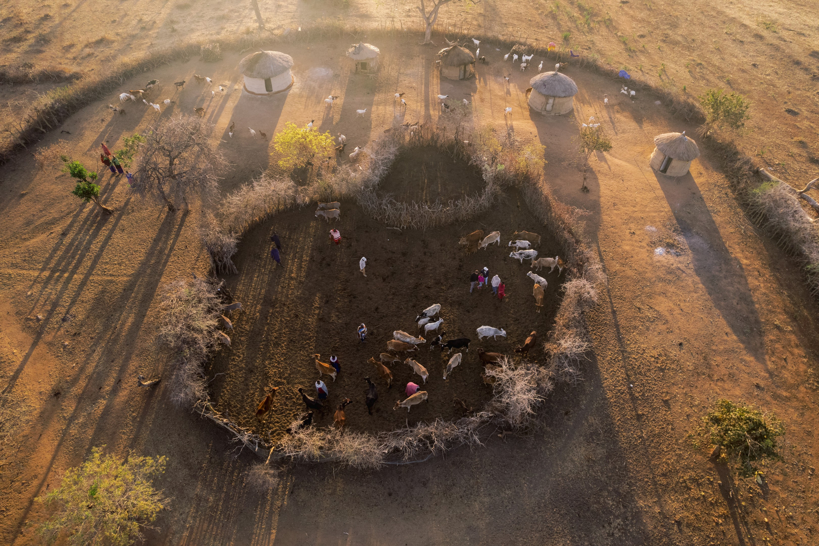 Olkeri Camp Olkeri Camp: Kraal