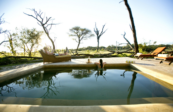 The Hide: Tom's Little Hide