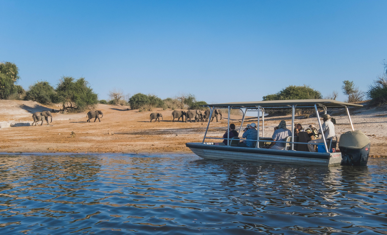 Zambezi Queen Zambezi Queen: Boot mit Touristen und Elefanten