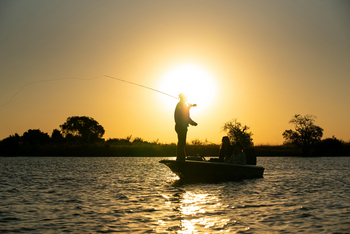Zambezi Queen Zambezi Queen: Fischen bei Sonnenuntergang