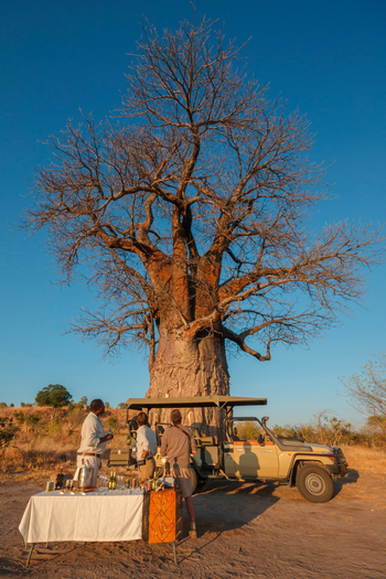 Belmond Savute Elephant Lodge Belmond Savute Elephant Lodge: Sundowner an einem Baobab