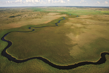 Duba Explorers Camp: Nqoga River aus der Luft