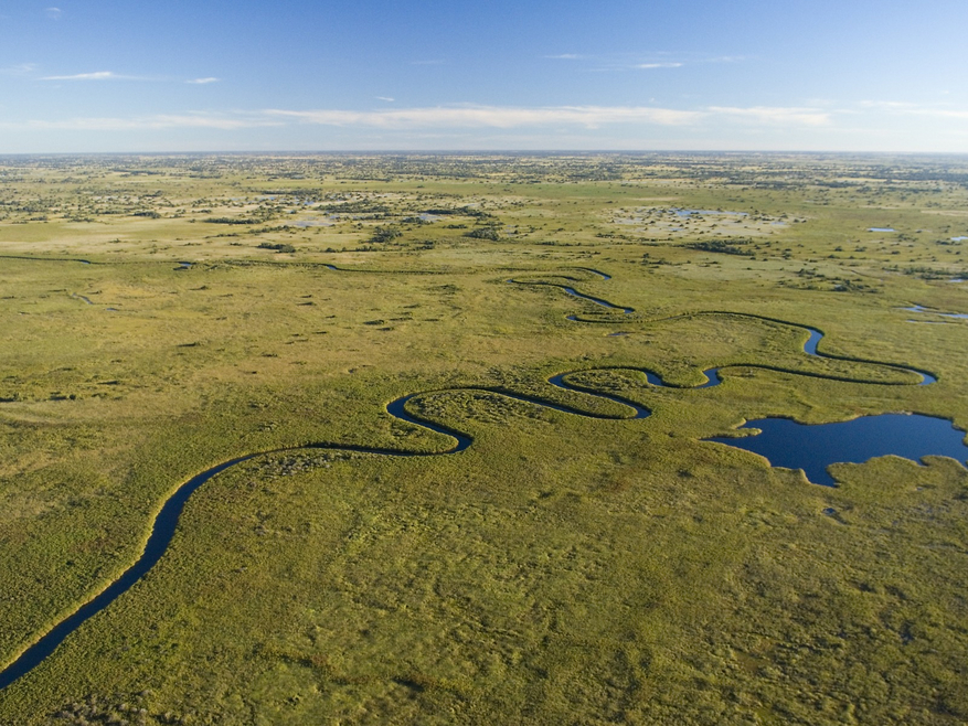 Duba Plains Camp