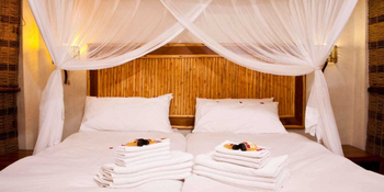 Halali Camp: Doppelbett mit Moskitonetz