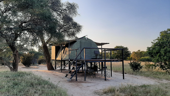 Jozibanini Camp Jozibanini Camp: Zelt Überblick