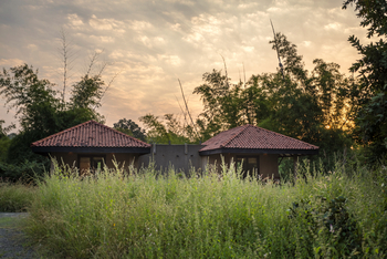 Kings Lodge: Chalets im Garten