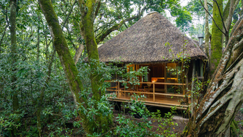 Koroi Forest Camp: Gästezelt von vorne