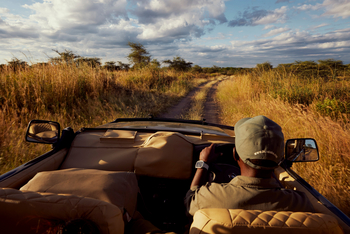 Laba Jongomero: Game Drive bei Sonnenuntergang