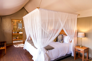Mankwe Tented Retreat: Moskitonetz