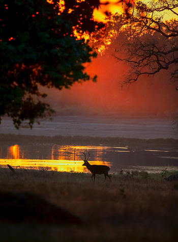 Meru Vann: Sonnenuntergang