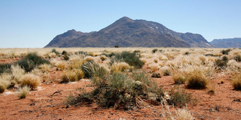 Namtib Desert Lodge: Felsige Erhebung