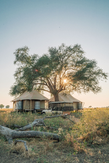 Nyamatusi Mahogany Camp: Zelt Überblick
