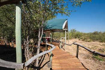 Ongava Tented Camp: Zugang zum Gästezelt