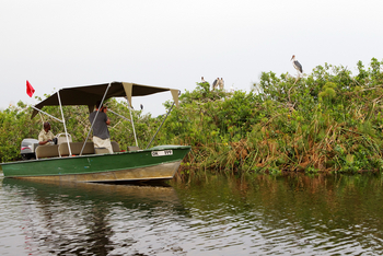 Shinde Lodge Shinde Lodge: Vor einer Vogelkolonie