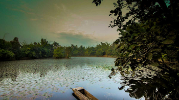 Syna Tiger Resort: Seerosenteich