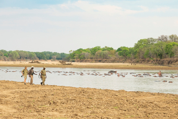 Takwela Camp Takwela Camp: Walking Safari