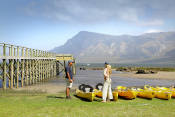 Coot Club: Aktivitäten