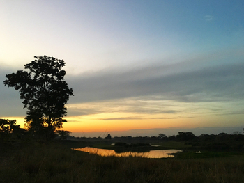 Diphlu River Lodge: Flussufer am Abend