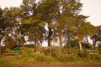 Macatoo Camp: Stege zwischen Zelten