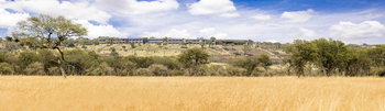Melia Serengeti Lodge: Gesamtansicht