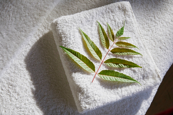 One and Only Gorilla's Nest: Spa Details