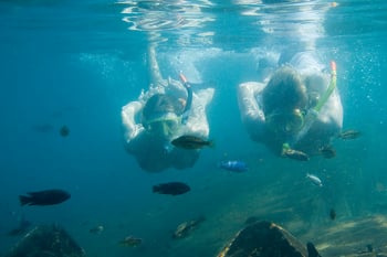 Pumulani Lodge: Schnorchler unter Wasser