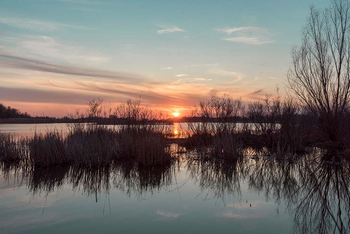 Sawai Vilas: Lake Mansarovar - Sonnenuntergang
