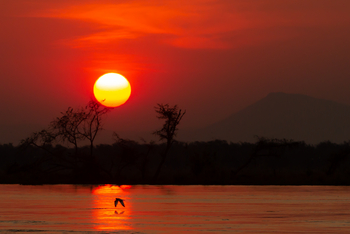 Tembo Plains Camp: Fluss bei Sonnenuntergang