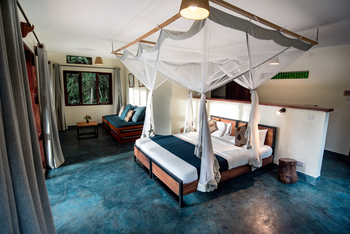 Turaco Treetops: Interieur