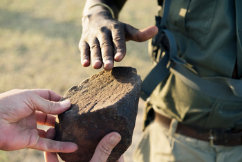 Beho Beho Camp: Stein