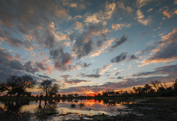 Belmond Khwai River Lodge: Postkartenlandschaft